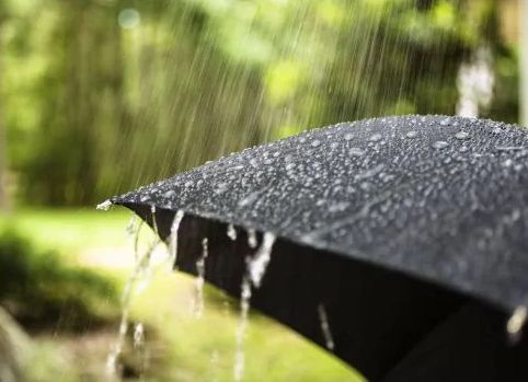 Two child and mother died due to tree collapse at home | घरावर झाड कोसळून मातेसह दोन चिमुकल्यांचा मृत्यू Two child and mother died due to tree collapse at home | घरावर झाड कोसळून मातेसह दोन चिमुकल्यांचा मृत्यू