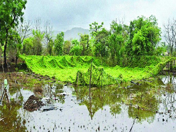 Heavy Rain in  Raigad | रायगड जिल्ह्याला पावसाने झोडपले