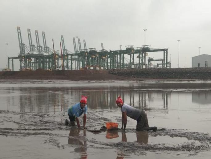 As village maps in the seven coastal districts of the state do not exist, millions of traditional fishermen are afforded | राज्यातील सात कोस्टल जिल्ह्यांतील गाव नकाशेच अस्तित्वात नसल्याने लाखो पारंपरिक मच्छीमारांची परवड As village maps in the seven coastal districts of the state do not exist, millions of traditional fishermen are afforded | राज्यातील सात कोस्टल जिल्ह्यांतील गाव नकाशेच अस्तित्वात नसल्याने लाखो पारंपरिक मच्छीमारांची परवड