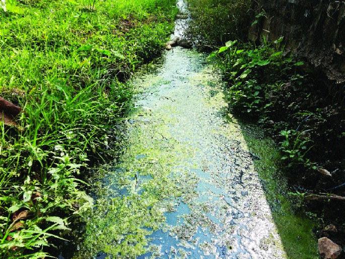 Free seats of Mahad MIDC Drainage | महाड एमआयडीसीतील मोकळ्या जागांचे झाले गटार Free seats of Mahad MIDC Drainage | महाड एमआयडीसीतील मोकळ्या जागांचे झाले गटार