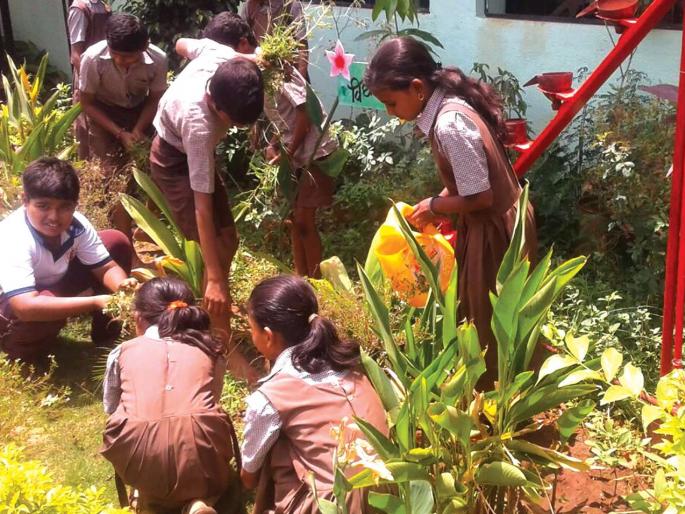 Zilla Parishad schools prefer private schools | खासगी शाळांपेक्षा जिल्हा परिषदेच्या शाळांना पसंती Zilla Parishad schools prefer private schools | खासगी शाळांपेक्षा जिल्हा परिषदेच्या शाळांना पसंती