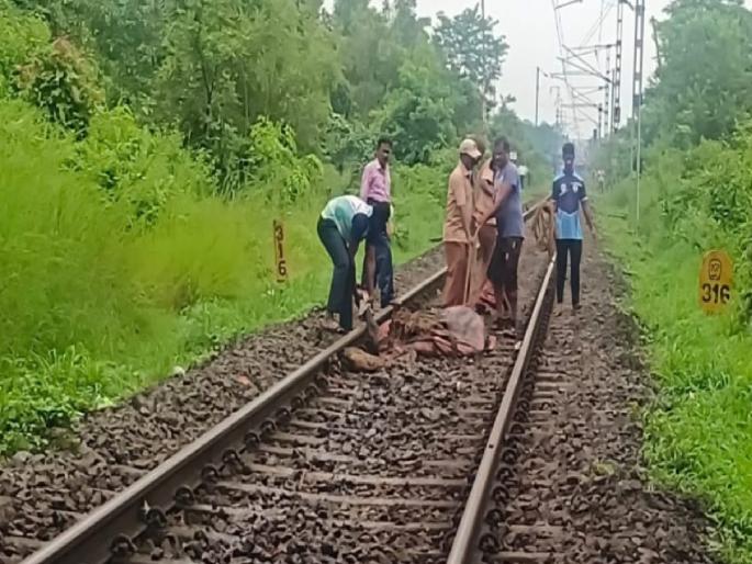 Three buffaloes killed in Rajdhani Express collision in Kankavli, again the railway schedule collapsed | कणकवलीत राजधानी एक्स्प्रेसच्या धडकेत तीन म्हशी ठार, पुन्हा रेल्वेचे वेळापत्रक कोलमडले Three buffaloes killed in Rajdhani Express collision in Kankavli, again the railway schedule collapsed | कणकवलीत राजधानी एक्स्प्रेसच्या धडकेत तीन म्हशी ठार, पुन्हा रेल्वेचे वेळापत्रक कोलमडले