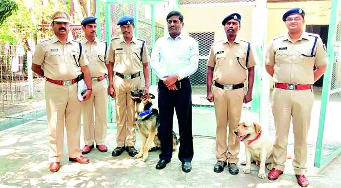 60 CCTV cameras at Gondia, Bhandara and Itwari railway stations | गोंदिया, भंडारा, इतवारी रेल्वे स्थानकावर ६० सीसीटीव्ही कॅमेरे 60 CCTV cameras at Gondia, Bhandara and Itwari railway stations | गोंदिया, भंडारा, इतवारी रेल्वे स्थानकावर ६० सीसीटीव्ही कॅमेरे