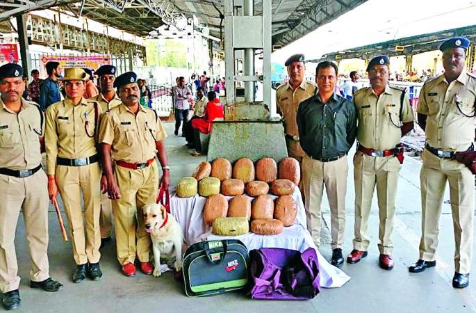 In the Nagpur railway station, 33 kg of ganja was seized | नागपूर रेल्वेस्थानकावर ३३ किलो गांजा पकडला In the Nagpur railway station, 33 kg of ganja was seized | नागपूर रेल्वेस्थानकावर ३३ किलो गांजा पकडला