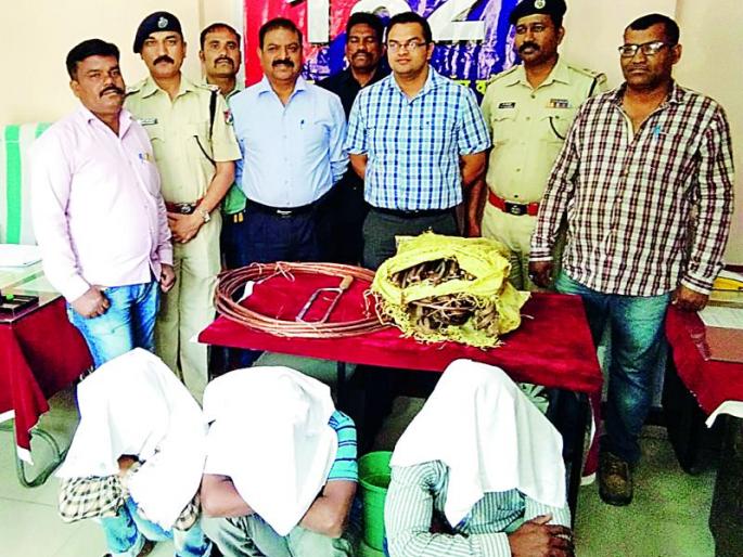 Three men arrested for stealing the railway copper wire | रेल्वेची तांब्याची तार चोरणाऱ्या तिघांना अटक Three men arrested for stealing the railway copper wire | रेल्वेची तांब्याची तार चोरणाऱ्या तिघांना अटक