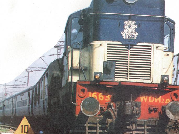 Pune Railway Department has collected 11 crores 19 lacs from sponging passengers | पुणे रेल्वे विभागाने फुकट्या प्रवाशांकडून वसूल केला ११ कोटी १९ लाख रुपयांचा दंड