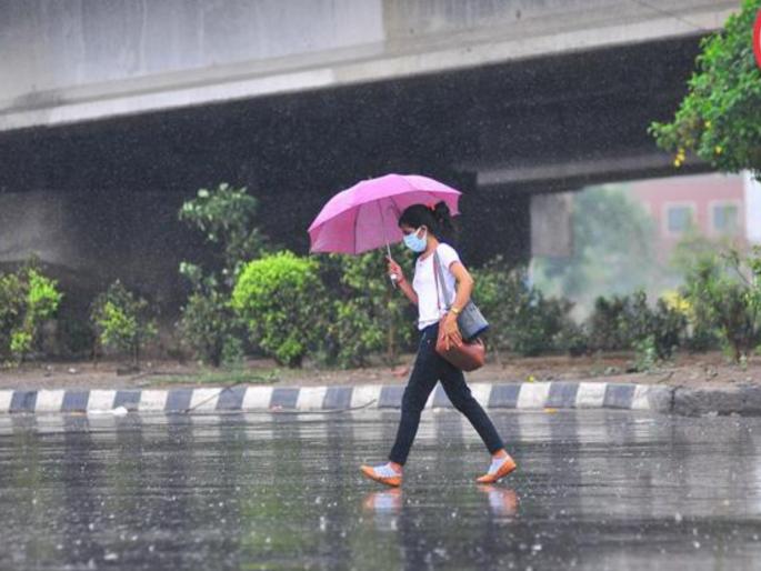 In some places the of rain is still less It will rain heavily in the next few days in maharashtra | Rain Update: काही ठिकाणी पावसाचे प्रमाण अजूनही कमीच! येत्या काही दिवसांमध्ये दमदार बरसेल In some places the of rain is still less It will rain heavily in the next few days in maharashtra | Rain Update: काही ठिकाणी पावसाचे प्रमाण अजूनही कमीच! येत्या काही दिवसांमध्ये दमदार बरसेल