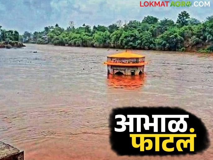 Heavy rains with gusty winds are likely in this area in the next 24 hours | पुढील २४ तासात राज्यात या ठिकाणी वादळी वाऱ्यासह मुसळधार पावसाची शक्यता