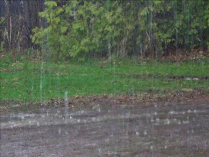 sprinkle rain on crops of rabbi In the state | राज्यात रब्बीवर अवकाळी पावसाचा सुखद शिडकावा; पिकांना संजीवनी  sprinkle rain on crops of rabbi In the state | राज्यात रब्बीवर अवकाळी पावसाचा सुखद शिडकावा; पिकांना संजीवनी