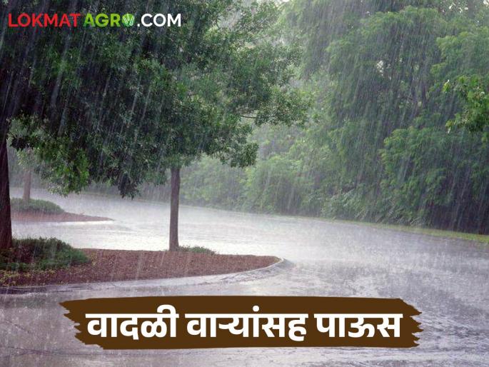 Maharashtra Weather Update How is the rain forecast in the state for the next five days? | Maharashtra Weather Update राज्यामध्ये पुढील पाच दिवस पावसाचा अंदाज कसा राहील? Maharashtra Weather Update How is the rain forecast in the state for the next five days? | Maharashtra Weather Update राज्यामध्ये पुढील पाच दिवस पावसाचा अंदाज कसा राहील?