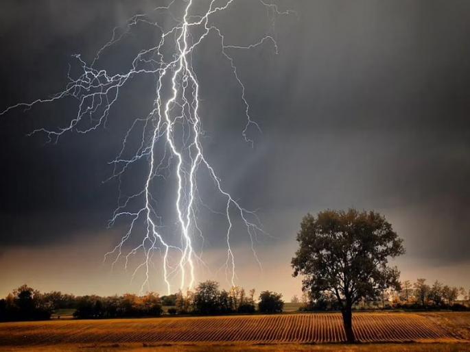 In Baramati taluka one person was seriously injured due to electric shock | बारामती तालुक्यात वीज अंगावर पडल्याने एकजण गंभीर जखमी In Baramati taluka one person was seriously injured due to electric shock | बारामती तालुक्यात वीज अंगावर पडल्याने एकजण गंभीर जखमी