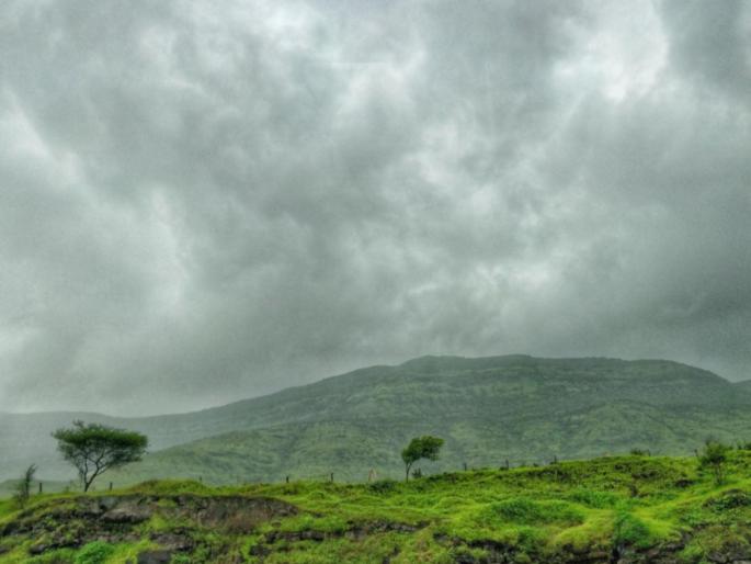 Some relief for citizens suffering from the heat; Rain likely in the state in the next 2-3 days | Maharashtra Weather Update: उन्हाने त्रस्त नागरिकांना थोडाफार दिलासा; राज्यात पुढील २, ३ दिवसात पावसाची शक्यता Some relief for citizens suffering from the heat; Rain likely in the state in the next 2-3 days | Maharashtra Weather Update: उन्हाने त्रस्त नागरिकांना थोडाफार दिलासा; राज्यात पुढील २, ३ दिवसात पावसाची शक्यता