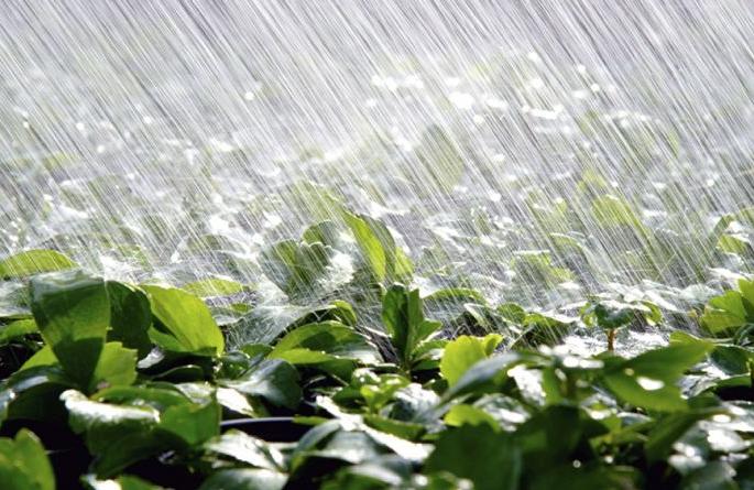 Where there is more, there is less | जिथे अधिक व्हायचे तिथे आता होत आहे सगळेच उणे Where there is more, there is less | जिथे अधिक व्हायचे तिथे आता होत आहे सगळेच उणे