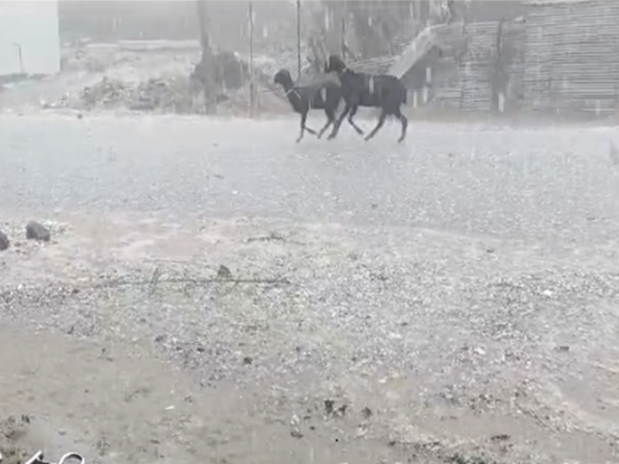 Beed district hit by unseasonal weather but freed from scarcity; 16.5 mm of rain in four days | बीड जिल्ह्यास अवकाळीचा फटका पण टंचाईतून सुटका; चार दिवसात १६.५ मिमी पाऊस Beed district hit by unseasonal weather but freed from scarcity; 16.5 mm of rain in four days | बीड जिल्ह्यास अवकाळीचा फटका पण टंचाईतून सुटका; चार दिवसात १६.५ मिमी पाऊस