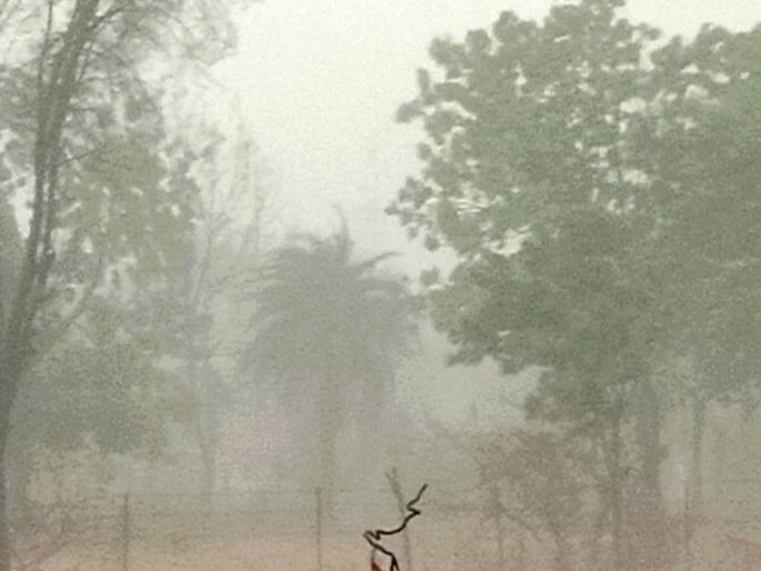Hingoli district hit by unseasonal rains again; agricultural work stopped, markets also in chaos! | हिंगोली जिल्ह्याला अवकाळीने पुन्हा झोडपले; शेतीची मशागत थांबली, बाजारपेठेतही तारांबळ! Hingoli district hit by unseasonal rains again; agricultural work stopped, markets also in chaos! | हिंगोली जिल्ह्याला अवकाळीने पुन्हा झोडपले; शेतीची मशागत थांबली, बाजारपेठेतही तारांबळ!