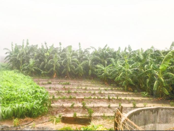 Marathwada hit by heavy rains again; Two thousand villages affected | मराठवाड्यास पुन्हा अतिवृष्टीचा फटका; दोन हजार गावे बाधित Marathwada hit by heavy rains again; Two thousand villages affected | मराठवाड्यास पुन्हा अतिवृष्टीचा फटका; दोन हजार गावे बाधित