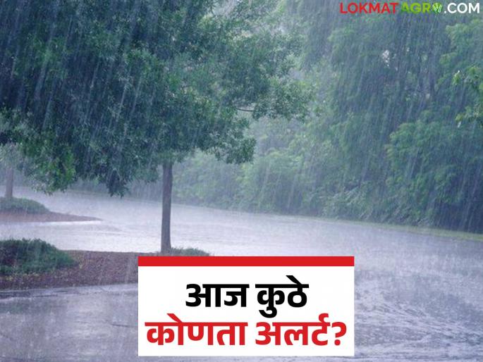 Maharashtra Rain : Has the rainfall trend changed this year? What alert is there in Maharashtra today? | Maharashtra Rain : यंदा पावसाचा ट्रेंड बदलला? महाराष्ट्रात आज कुठे कोणता अलर्ट?