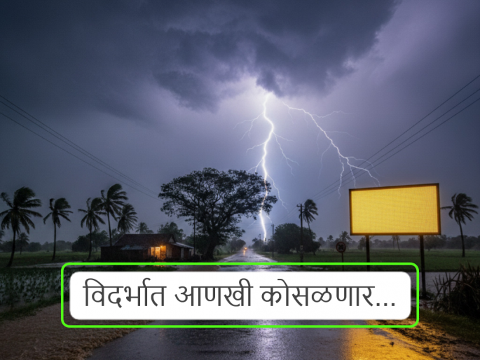 Maharashtra Flood, Rain Alert: Warning of heavy rain with wind, lightning in Vidarbha for the next four days; Low pressure area in the Bay of Bengal | Maharashtra Rain Update: पुढील चार दिवस विदर्भात वारे, विजांसह मुसळधार पावसाचा इशारा; बंगालच्या उपसागरात कमी दाबाचा पट्टा Maharashtra Flood, Rain Alert: Warning of heavy rain with wind, lightning in Vidarbha for the next four days; Low pressure area in the Bay of Bengal | Maharashtra Rain Update: पुढील चार दिवस विदर्भात वारे, विजांसह मुसळधार पावसाचा इशारा; बंगालच्या उपसागरात कमी दाबाचा पट्टा