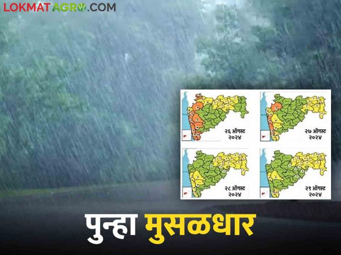 Maharashtra Weather Update : Monsoon will bring heavy rain again in next four days in this place in the state | Maharashtra Weather Update : मान्सूनची मुसंडी पुढील चार दिवसात राज्यात या ठिकाणी पुन्हा मुसळधार पाऊस