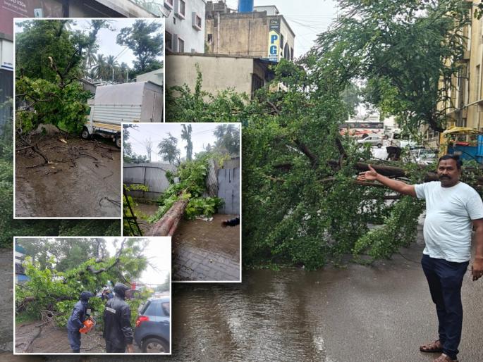 Trees fell in Pimpri Chinchwad due to heavy rain Damage to houses and cars disruption of traffic too | जोरदार पावसामुळे पिंपरी चिंचवडमध्ये झाडे कोसळली; घरे आणि गाड्यांचे नुकसान, वाहतुकीसही अडथळा Trees fell in Pimpri Chinchwad due to heavy rain Damage to houses and cars disruption of traffic too | जोरदार पावसामुळे पिंपरी चिंचवडमध्ये झाडे कोसळली; घरे आणि गाड्यांचे नुकसान, वाहतुकीसही अडथळा