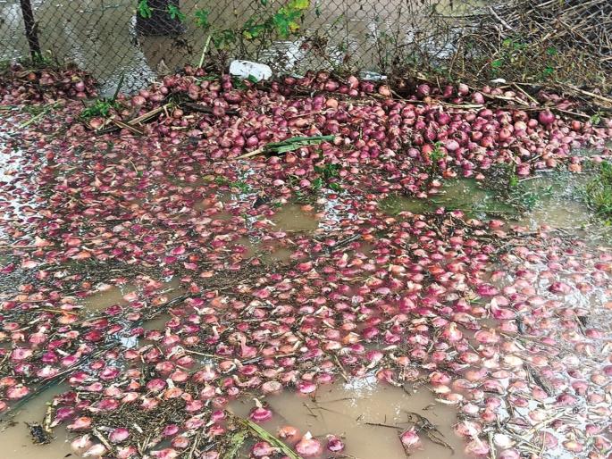 The Panchnama has been done, the proposal has also been passed... Diwali is over, but where is the help for farmers? | पंचनामे झाले, प्रस्तावही गेला...दिवाळी संपली, पण शेतकऱ्यांसाठीची मदत कुठंय? The Panchnama has been done, the proposal has also been passed... Diwali is over, but where is the help for farmers? | पंचनामे झाले, प्रस्तावही गेला...दिवाळी संपली, पण शेतकऱ्यांसाठीची मदत कुठंय?