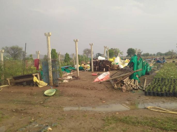 Kardi-Palora area lashed by hail with cyclone; | करडी-पालोरा परिसराला चक्रीवादळासह गारपिटीचा तडाखा; सोलर कृषीपंपाचे पॅनल तुटले Kardi-Palora area lashed by hail with cyclone; | करडी-पालोरा परिसराला चक्रीवादळासह गारपिटीचा तडाखा; सोलर कृषीपंपाचे पॅनल तुटले