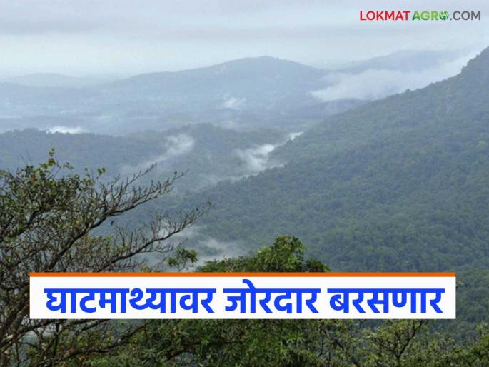 Heavy rains in these districts on the Ghats region from today; Rivers likely to flood | घाटमाथ्यावर या जिल्ह्यांत आजपासून जोरदार पाऊस; नद्यांना पूर येण्याची शक्यता Heavy rains in these districts on the Ghats region from today; Rivers likely to flood | घाटमाथ्यावर या जिल्ह्यांत आजपासून जोरदार पाऊस; नद्यांना पूर येण्याची शक्यता