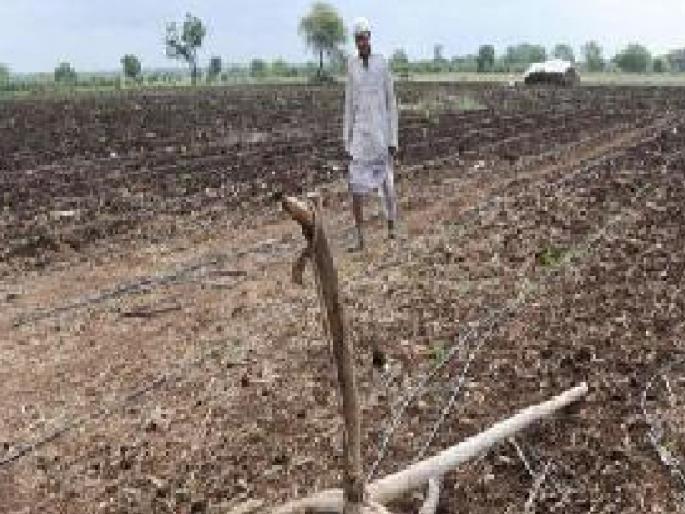 rained in the morning and throughout the day In Kolhapur | कोल्हापुरात सकाळी पावसाचा शिडकावा, दिवसभर उन्हाचा तडाखा; पेरण्या खोंळबल्या rained in the morning and throughout the day In Kolhapur | कोल्हापुरात सकाळी पावसाचा शिडकावा, दिवसभर उन्हाचा तडाखा; पेरण्या खोंळबल्या