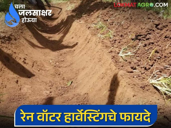 Rain Water Harvesting : Farmers, do rainwater harvesting; these five important benefits will be achieved | Rain Water Harvesting : शेतकऱ्यांनो रेन वॉटर हार्वेस्टिंग करा; होतील हे पाच फायदे Rain Water Harvesting : Farmers, do rainwater harvesting; these five important benefits will be achieved | Rain Water Harvesting : शेतकऱ्यांनो रेन वॉटर हार्वेस्टिंग करा; होतील हे पाच फायदे