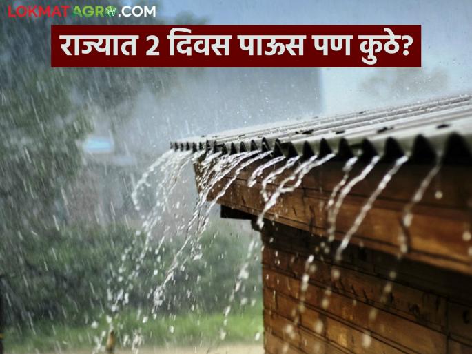 Weather Update; Rain forecast in Madhya Maharashtra and Marathwada in next two days; Yellow alert in some places | Weather Update; मध्य महाराष्ट्र आणि मराठवाड्यामध्ये येत्या दोन दिवसांमध्ये पावसाचा अंदाज; काही ठिकाणी यलो अलर्ट