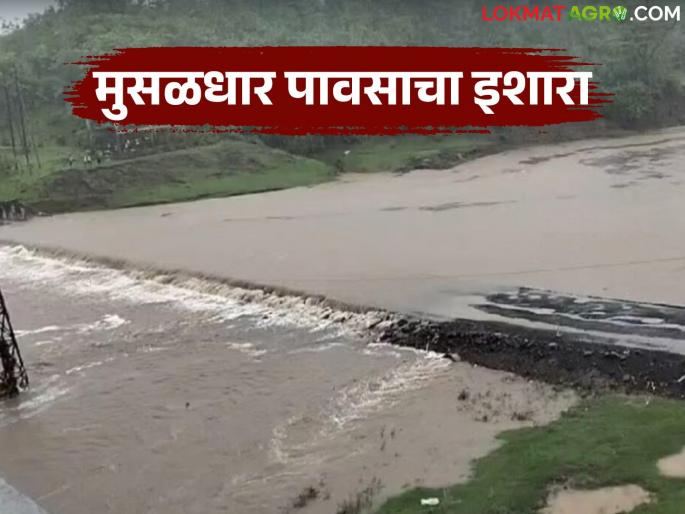 Rain intensity will increase due to low pressure area; Heavy rain warning in 'this' area of the state | कमी दाबाच्या क्षेत्रामुळे पावसाचा जोर वाढणार; राज्यात 'या' भागात मुसळधारचा इशारा Rain intensity will increase due to low pressure area; Heavy rain warning in 'this' area of the state | कमी दाबाच्या क्षेत्रामुळे पावसाचा जोर वाढणार; राज्यात 'या' भागात मुसळधारचा इशारा