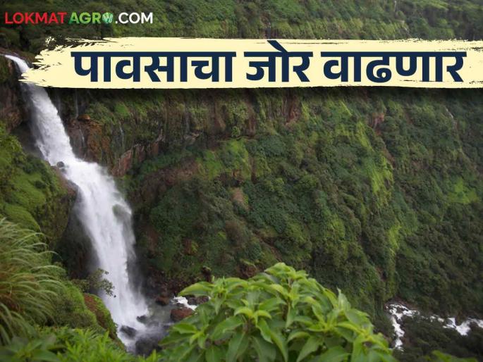 Maharashtra Weather Update : The low pressure zone in the Bay of Bengal will increase the intensity of rain in this place in the state | Maharashtra Weather Update : बंगालच्या उपसागरात कमी दाबाचा पट्टा राज्यात या ठिकाणी पावसाचा जोर वाढणार Maharashtra Weather Update : The low pressure zone in the Bay of Bengal will increase the intensity of rain in this place in the state | Maharashtra Weather Update : बंगालच्या उपसागरात कमी दाबाचा पट्टा राज्यात या ठिकाणी पावसाचा जोर वाढणार