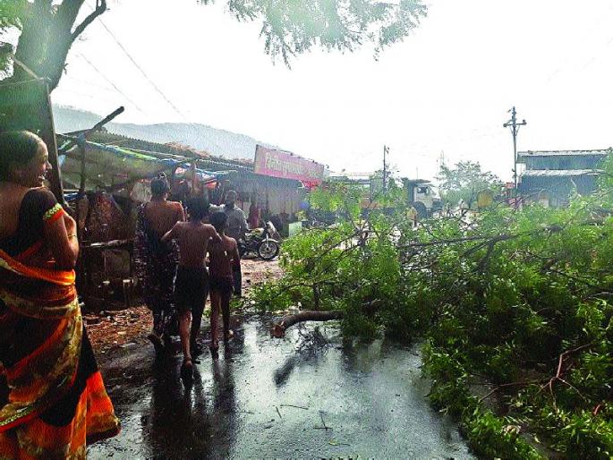 19 villages of Windy rain, Pankanema started by Mahad revenue; Mango bourgeois concern | वादळी पावसाचा १९ गावांना फटका, महाड महसूलमार्फत पंचनामे सुरू; आंबा बागायतदार चिंतेत 19 villages of Windy rain, Pankanema started by Mahad revenue; Mango bourgeois concern | वादळी पावसाचा १९ गावांना फटका, महाड महसूलमार्फत पंचनामे सुरू; आंबा बागायतदार चिंतेत