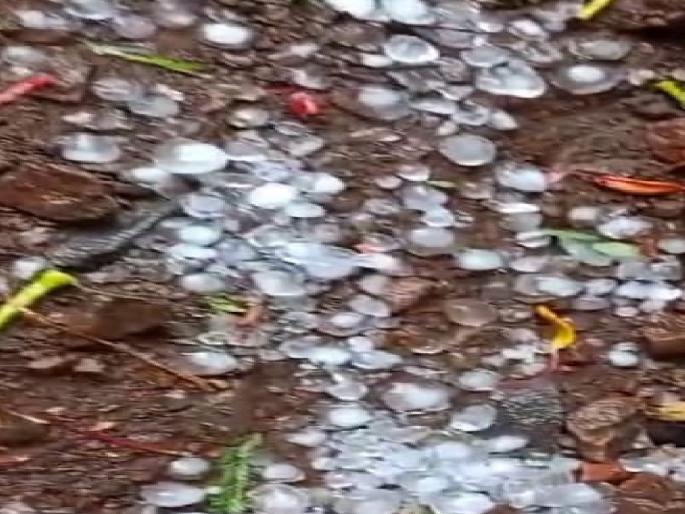 Unseasonal rain in Sangli district, Relief to citizens affected by hit | Sangli: शिराळा, वाळवा तालुक्याला गारांसह वादळी पावसाने झोडपले