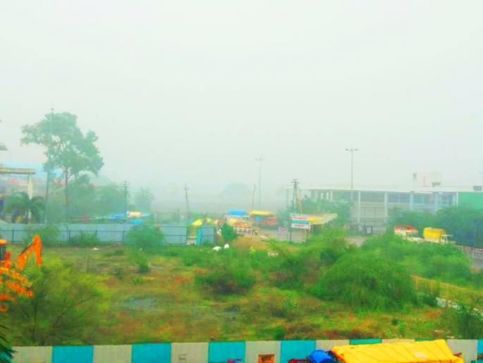 Heavy rain in the district, farmers happy! 'Yellow Alert' for the next two days | जिल्ह्यात दमदार पाऊस, शेतकरी सुखावला! पुढील दोन दिवस 'येलो अलर्ट' Heavy rain in the district, farmers happy! 'Yellow Alert' for the next two days | जिल्ह्यात दमदार पाऊस, शेतकरी सुखावला! पुढील दोन दिवस 'येलो अलर्ट'