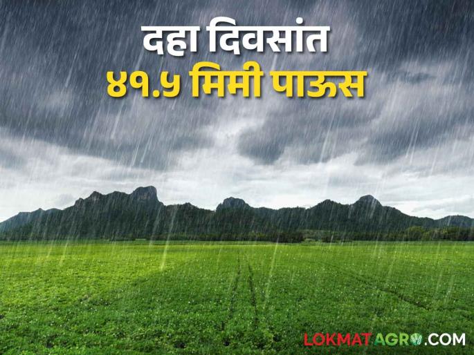 In Ambajogai taluka, 65 thousand hectares of soybeans will be sown; Tur sowning also increased | Kharif Cultivation अंबाजोगाई तालुक्यात ६५ हजार हेक्टरवर होणार सोयाबीनचा पेरा; तूर पेरा देखील वाढला
