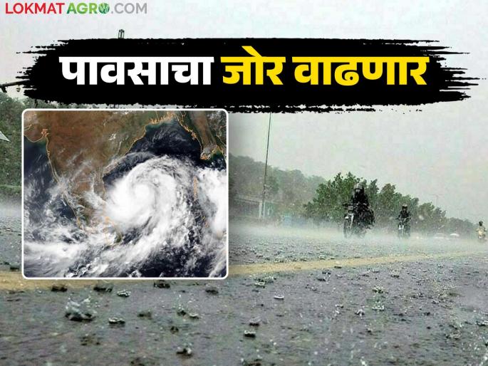 Low pressure area again in Bay of Bengal; Heavy rain in these places in the state for the next 3 days | बंगालच्या उपसागरात पुन्हा कमी दाबाचे क्षेत्र; राज्यात पुढील ३ दिवस 'या' ठिकाणी मुसळधार पाऊस Low pressure area again in Bay of Bengal; Heavy rain in these places in the state for the next 3 days | बंगालच्या उपसागरात पुन्हा कमी दाबाचे क्षेत्र; राज्यात पुढील ३ दिवस 'या' ठिकाणी मुसळधार पाऊस
