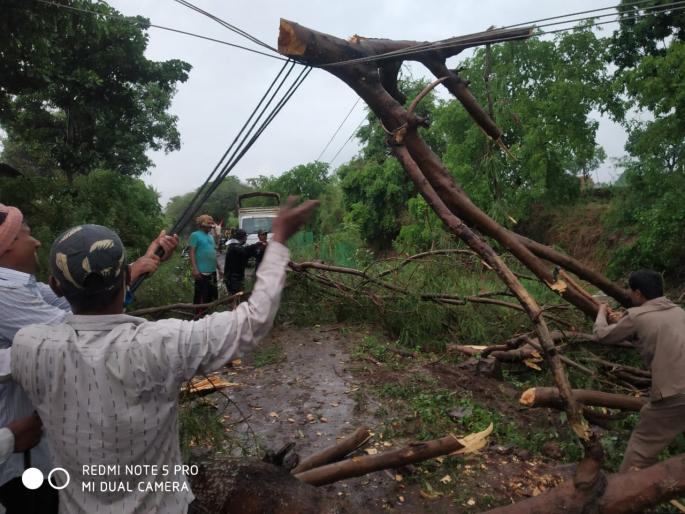In Kameri, strong winds and rain caused a tree to fall on a power pole and bent four poles | कामेरीत वादळी वारे, पावसाने विजेच्या खांबावर झाड पडल्याने चार खांब वाकले In Kameri, strong winds and rain caused a tree to fall on a power pole and bent four poles | कामेरीत वादळी वारे, पावसाने विजेच्या खांबावर झाड पडल्याने चार खांब वाकले