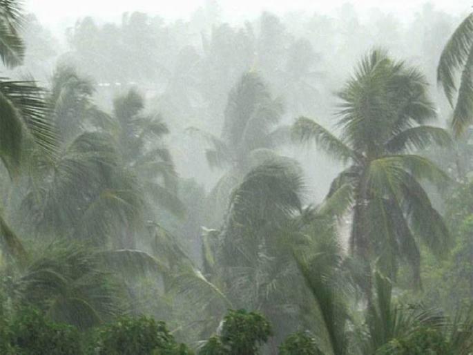 The forecast of tornado rainfall in Kerala, alert in three districts | केरळमध्ये तुफान पावसाचा अंदाज, तीन जिल्ह्यांत अलर्ट The forecast of tornado rainfall in Kerala, alert in three districts | केरळमध्ये तुफान पावसाचा अंदाज, तीन जिल्ह्यांत अलर्ट