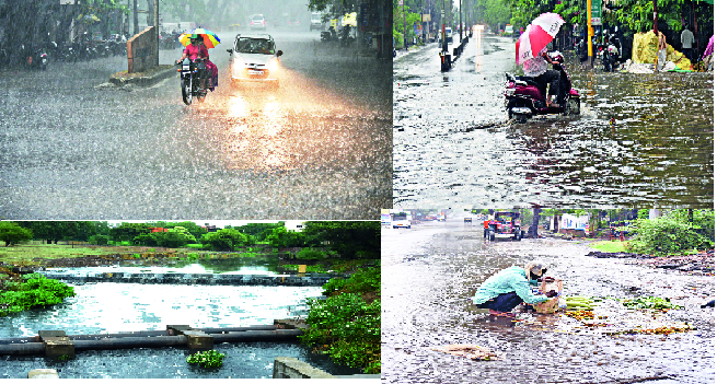 Pre-monsoon rains lashed the city | मान्सूनपूर्व पावसाने कोल्हापूर शहराला झोडपले--टाकाळा, नागाळा पार्क येथे झाडे पडली Pre-monsoon rains lashed the city | मान्सूनपूर्व पावसाने कोल्हापूर शहराला झोडपले--टाकाळा, नागाळा पार्क येथे झाडे पडली