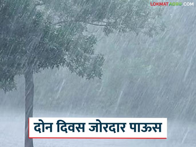 Latest news Maharashtra Rain Very heavy rain in Maharashtra tomorrow and the day after, read in detail | Maharashtra Rain : महाराष्ट्रातील 'या' भागात उद्या आणि परवा अति जोरदार पाऊस, वाचा सविस्तर  Latest news Maharashtra Rain Very heavy rain in Maharashtra tomorrow and the day after, read in detail | Maharashtra Rain : महाराष्ट्रातील 'या' भागात उद्या आणि परवा अति जोरदार पाऊस, वाचा सविस्तर