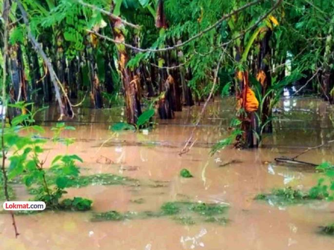Heavy rains hit crops on 4 lakh hectares; Heavy rains in Konkan, Marathwada including Mumbai | अतिवृष्टीचा ४ लाख हेक्टरवरील पिकांना फटका; मुंबईसह कोकण, मराठवाड्यात पावसाचे धुमशान