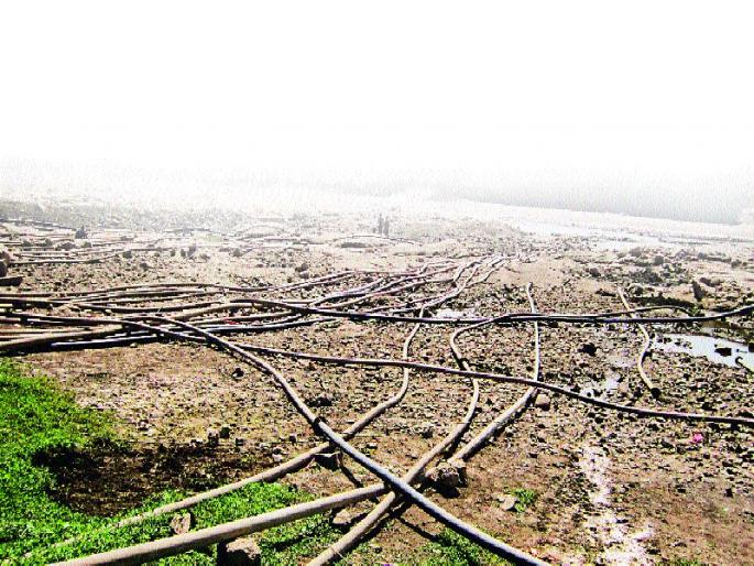 Due to the rainy season: Farmers will go haywire | पावसाची हुलकावणी : शेतकरी झाले हवालदिल Due to the rainy season: Farmers will go haywire | पावसाची हुलकावणी : शेतकरी झाले हवालदिल