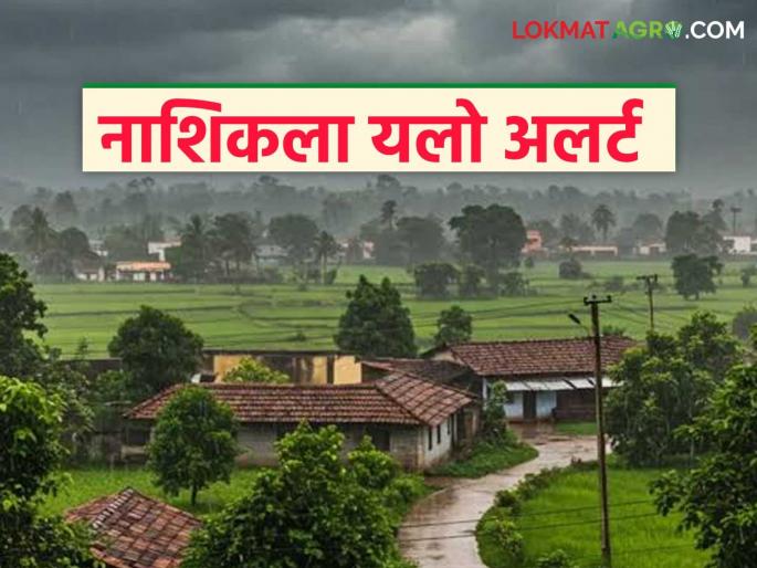 Latest News Nashik rain alert Two-day 'Yellow Alert' for Nashik, know the details | Nashik Rain Alert : नाशिकसाठी दोन दिवसांचा 'यलो अलर्ट', जाणून घ्या सविस्तर 