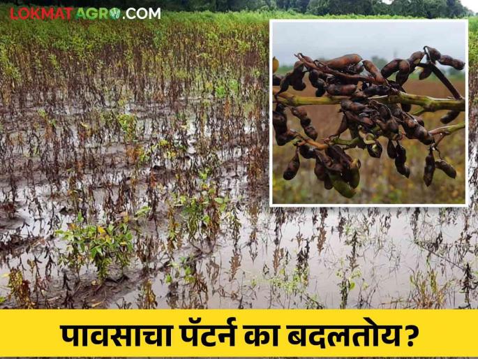 What causes sudden heavy rains? Is the rain changing its pattern? | अचानक होणारी अतिवृष्टी कशामुळे? पाऊस आपला पॅटर्न बदलतोय का? What causes sudden heavy rains? Is the rain changing its pattern? | अचानक होणारी अतिवृष्टी कशामुळे? पाऊस आपला पॅटर्न बदलतोय का?