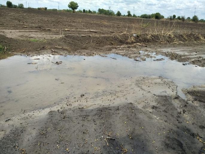 The highest rainfall in the Purna Mandal of Parbhani district, 78 mm rainfall | परभणी जिल्ह्यातील पूर्णा मंडळात अतिवृष्टी,78 मी मी पावसाची नोंद The highest rainfall in the Purna Mandal of Parbhani district, 78 mm rainfall | परभणी जिल्ह्यातील पूर्णा मंडळात अतिवृष्टी,78 मी मी पावसाची नोंद