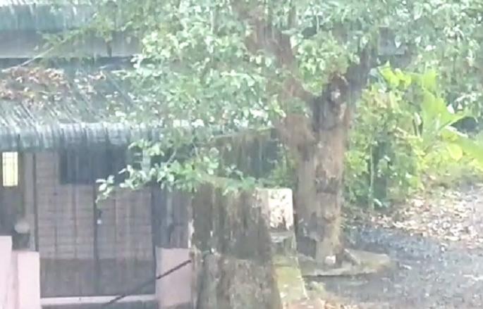 Presence of unseasonal rains at many places in Ratnagiri | रत्नागिरीत अनेक ठिकाणी अवकाळी पावसाची हजेरी, आंबा बागायतदार धास्तावले Presence of unseasonal rains at many places in Ratnagiri | रत्नागिरीत अनेक ठिकाणी अवकाळी पावसाची हजेरी, आंबा बागायतदार धास्तावले