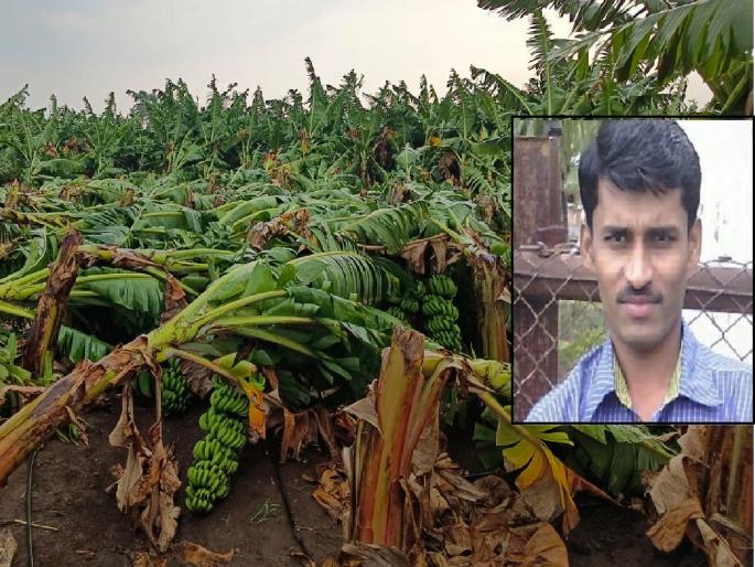 Torrential rain with wind in Sangli, A tree fell on the house and one person was killed | सांगली जिल्ह्याला वादळी पावसाचा तडाखा; एक ठार, दोन जखमी Torrential rain with wind in Sangli, A tree fell on the house and one person was killed | सांगली जिल्ह्याला वादळी पावसाचा तडाखा; एक ठार, दोन जखमी