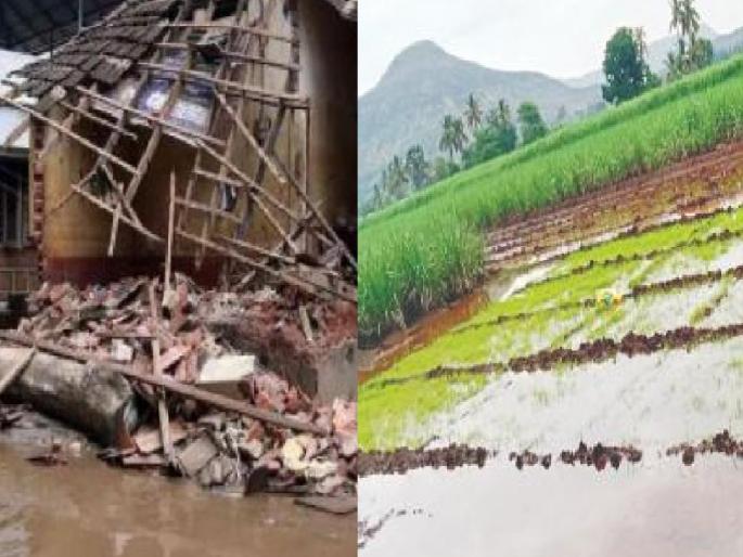 Unseasonal rains in Satara district affect 8500 farmers | सातारा जिल्ह्यात वळवाचा साडेआठ हजार शेतकऱ्यांना फटका, पंचनामे सुरू असल्याने नुकसानीचा आकडा वाढणार Unseasonal rains in Satara district affect 8500 farmers | सातारा जिल्ह्यात वळवाचा साडेआठ हजार शेतकऱ्यांना फटका, पंचनामे सुरू असल्याने नुकसानीचा आकडा वाढणार