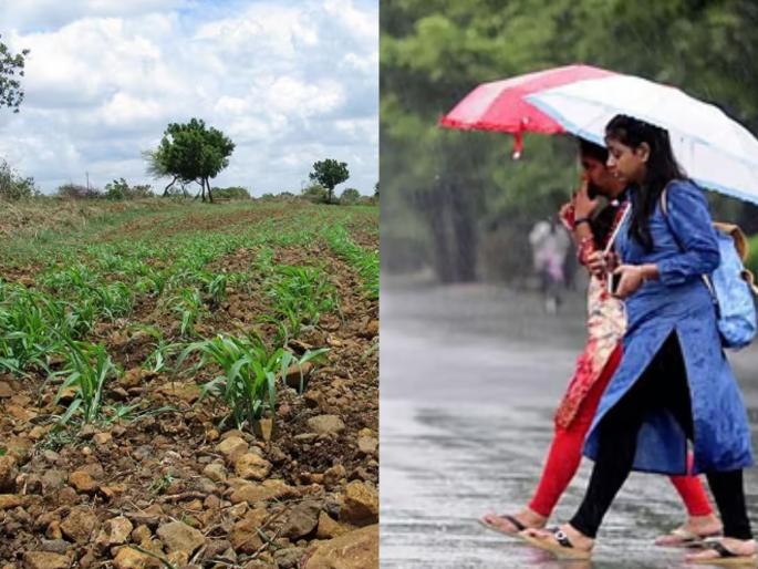 Extremely dire situation in Marathwada including Vidarbha as rains turn their backs! | पावसाने पाठ फिरवल्याने विदर्भासह मराठवाड्यात अत्यंत भीषण अवस्था ! Extremely dire situation in Marathwada including Vidarbha as rains turn their backs! | पावसाने पाठ फिरवल्याने विदर्भासह मराठवाड्यात अत्यंत भीषण अवस्था !